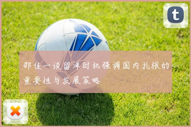 邵佳一谈留洋时机强调国内扎根的重要性与发展策略