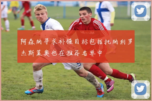 阿森纳寻求补强目标包括托纳利罗杰斯莱奥也在推荐名单中
