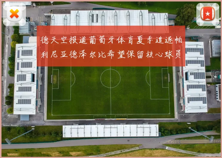 德天空报道葡萄牙体育夏季追逐帕利尼亚德泽尔比希望保留核心球员