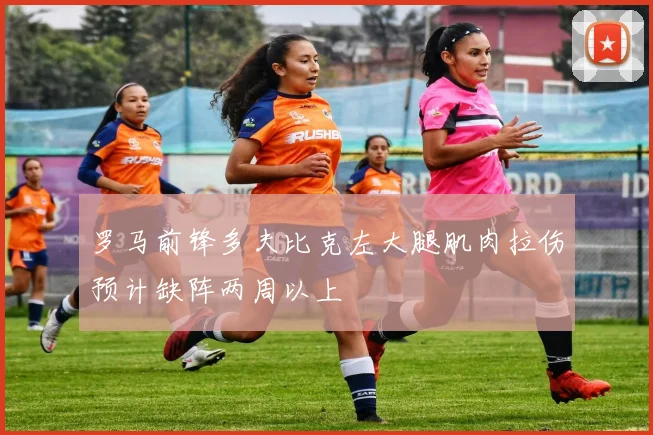 罗马前锋多夫比克左大腿肌肉拉伤预计缺阵两周以上